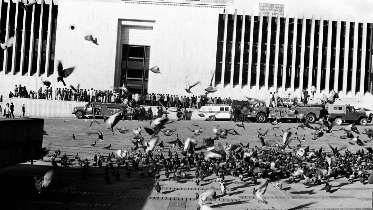 borrador automatico web 24