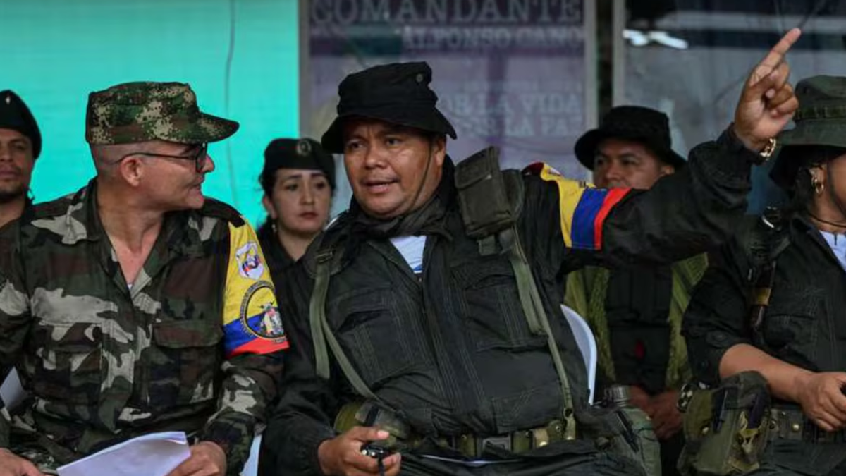 borrador automatico web