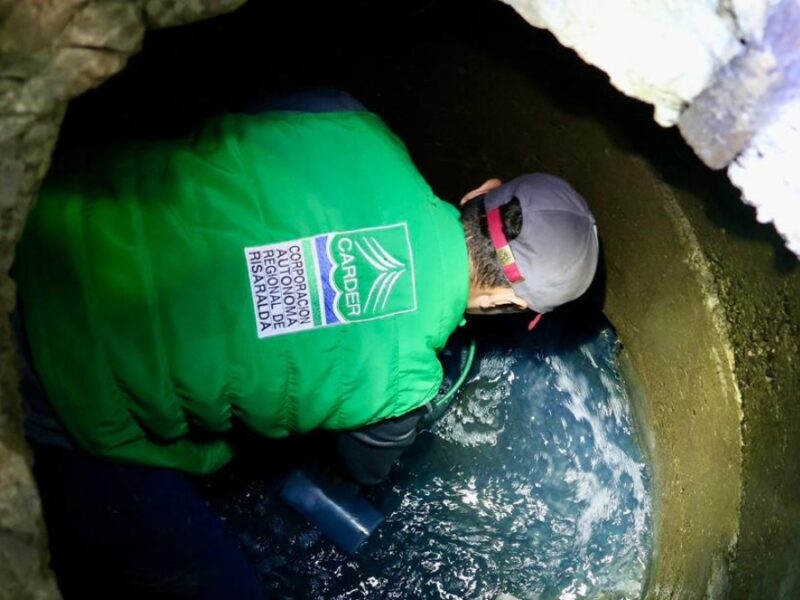 CARDER intensifica control a vertimientos ilegales: dos tintorerías reincidentes fueron intervenidas en megaoperativo interinstitucional 