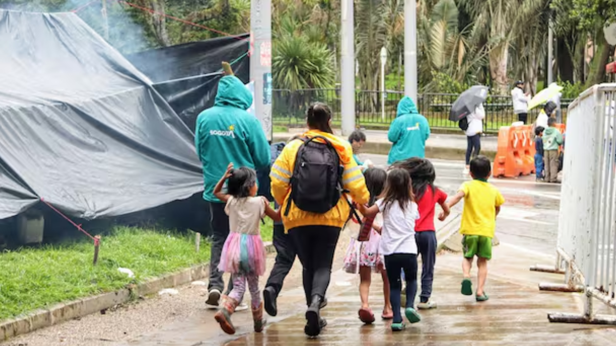 comunidad embera exige 200 millones para desalojar el parque nacional web 17