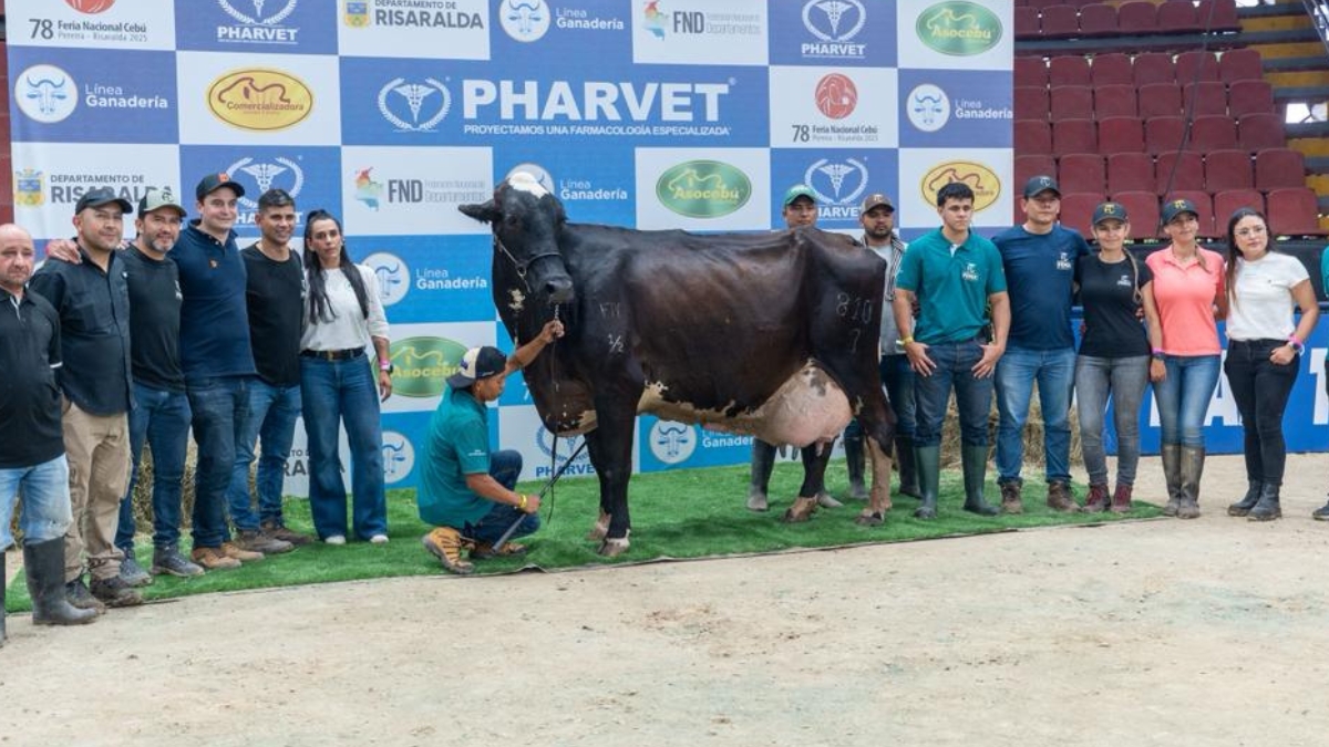 ganaderos nacionales e internacionales destacan la organizacion y la calidad genetica de la feria nacional cebu copia de web 2025 11 20t172552.303