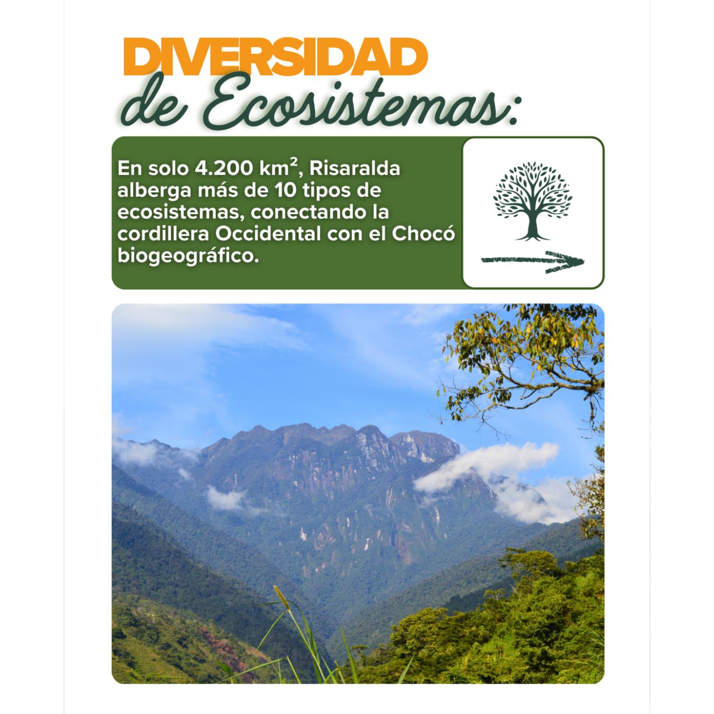 home sin titulo 1400 x 1400 px 1 1