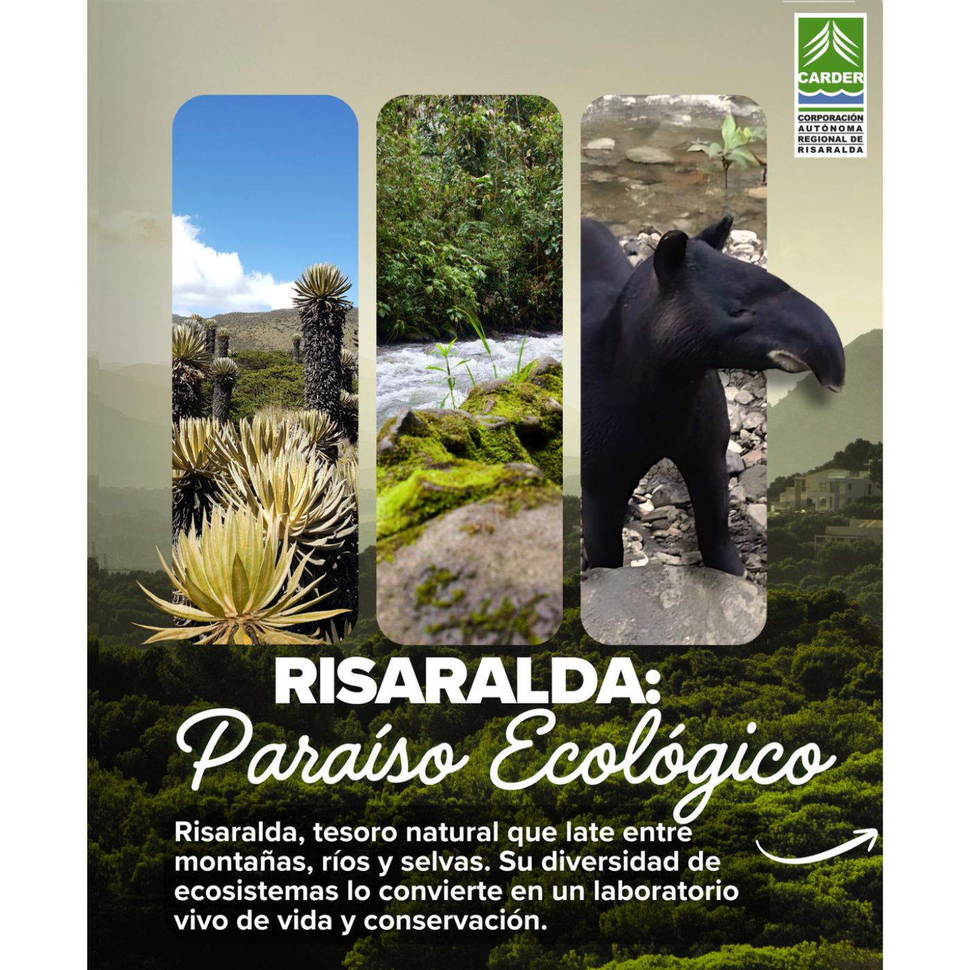 home sin titulo 1400 x 1400 px 1