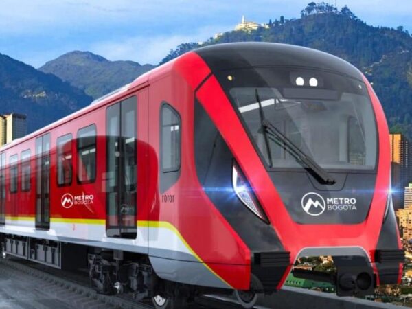 Más de 300 nidos y 400 rescates: así cuidan a los animales en la construcción del Metro