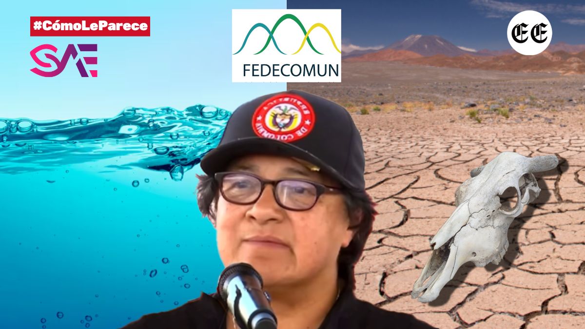 Adiós al agua, bienvenido el turismo y ganadería, porque la SAE entrega 98 hectáreas en zona protegida 1 adios al agua bienvenido el turismo y ganaderia porque la sae entrega 98 hectareas en zona protegida clp 17 web ee