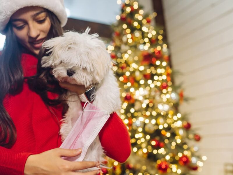 Cielos en Calma: El proyecto que replantea el uso de pólvora en Colombia