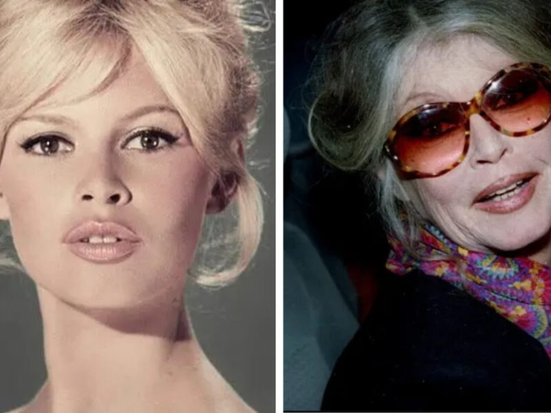 Muere Brigitte Bardot: Se apaga un ícono del cine francés