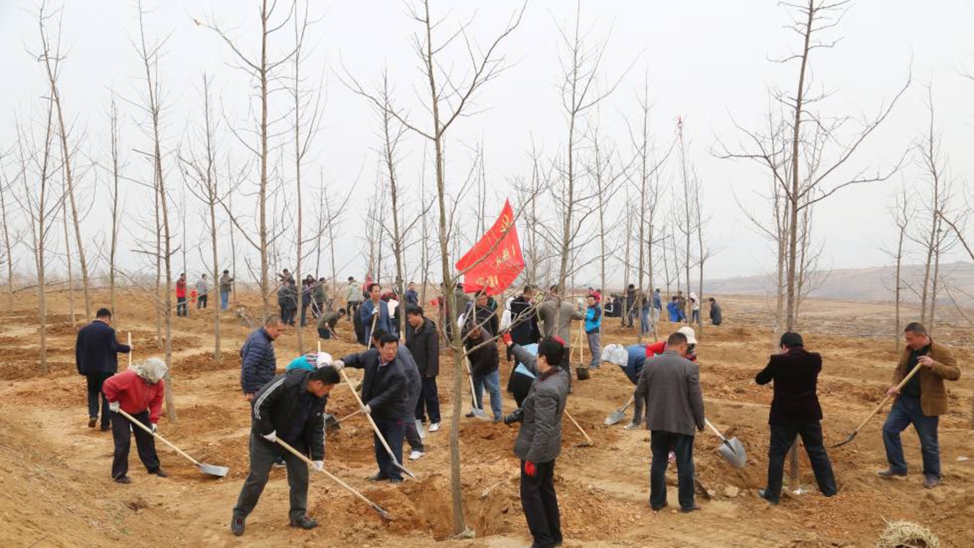 china reforesta a gran escala y enfrenta un efecto inesperado los nuevos bosques estan cambiando el ciclo del agua image