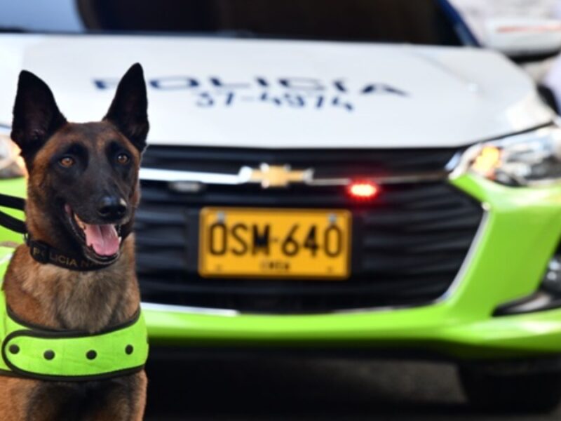 Intolerancia y violencia: El saldo que dejó la Navidad en Colombia