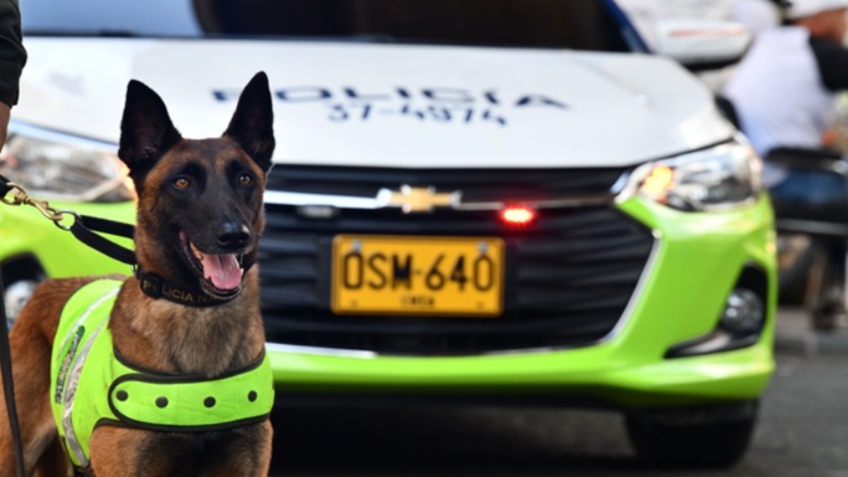 intolerancia y violencia el saldo que dejo la navidad en colombia policia