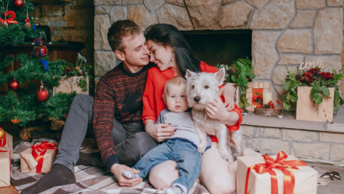 Navidad sin pólvora: Una decisión que protege vidas 1 navidad sin polvora una decision que protege vidas navidad sin polvora