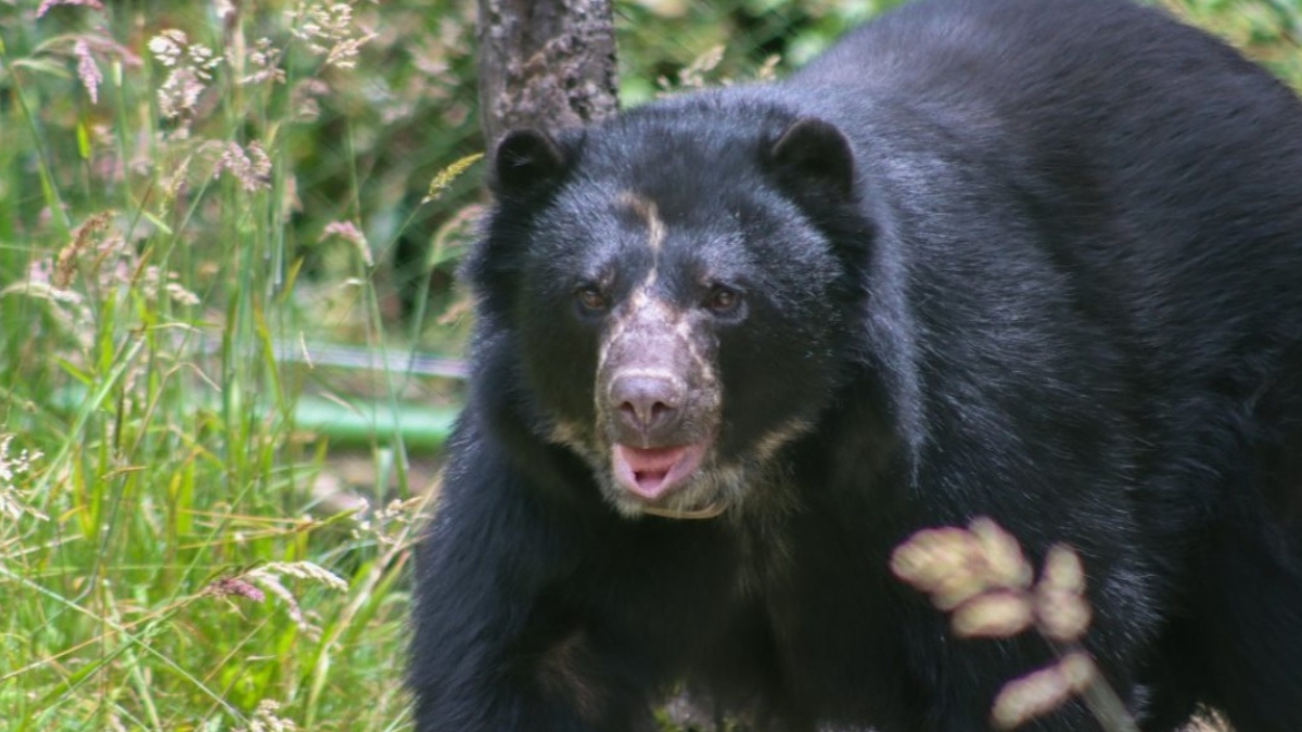 osotama web ee osotama web ee