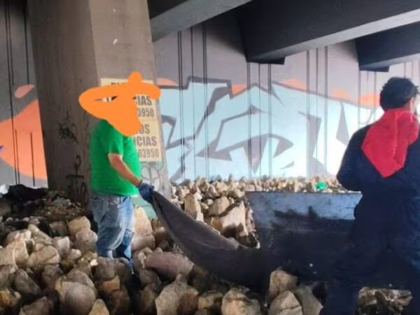 Autoridades investigan decenas de cráneos hallados bajo un puente en Bogotá