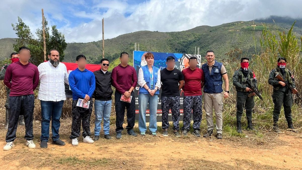 borrador automatico liberacionsoldados web ee