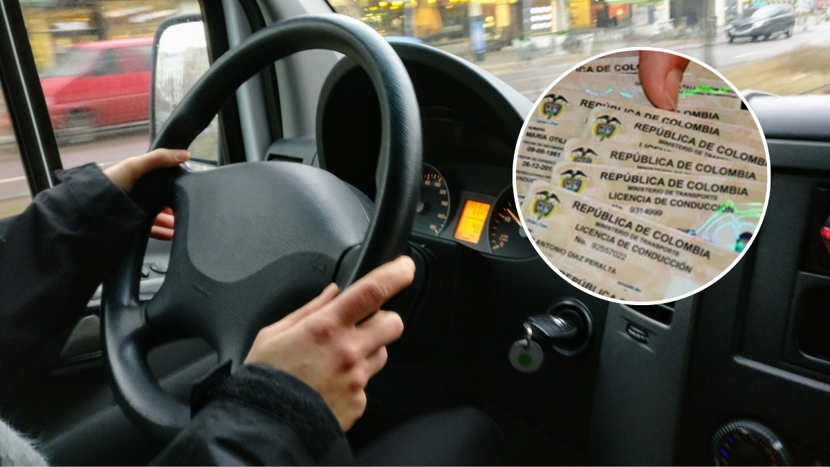 borrador automatico licencia de conduccion 2026