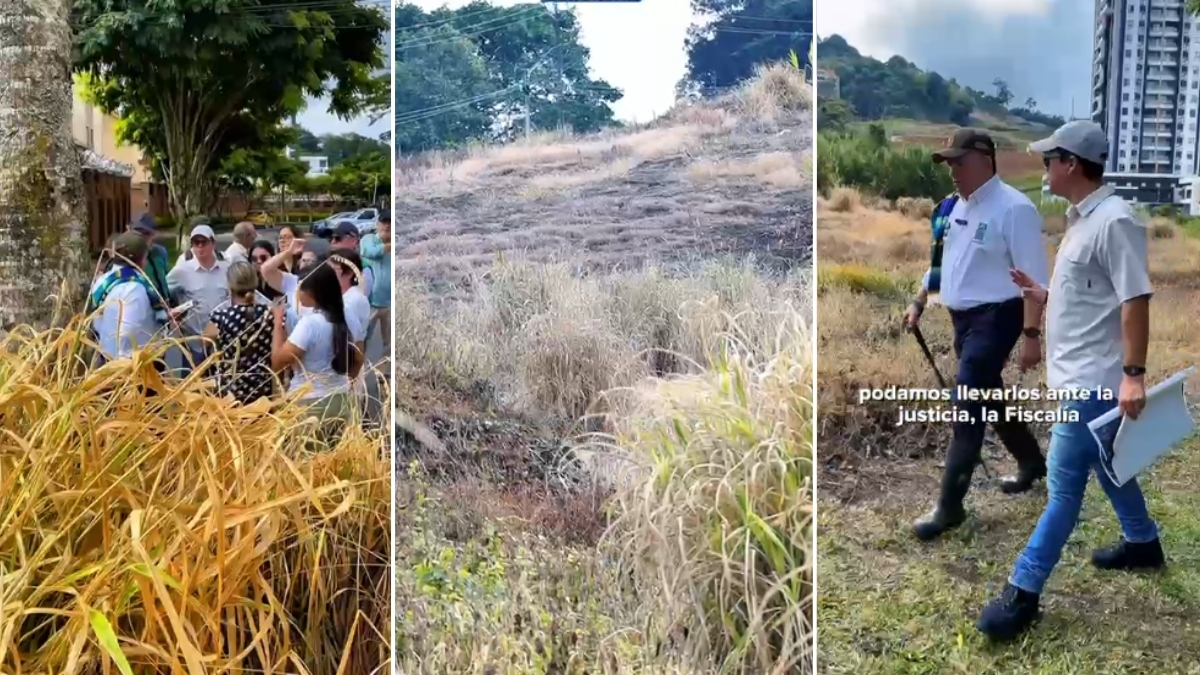 CARDER verifica denuncias por intervención de suelos de protección en Pinares 1 carder verifica denuncias por intervencion de suelos de proteccion en pinares carder denuncia ciudadana 2201 web