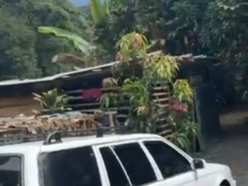 Denuncia ciudadana: Otro atentado contra el ecosistema ambiental