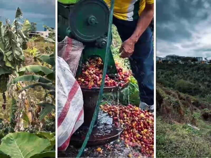 Denuncia : ¡Descarados invaden predios de protección ambiental, los contaminan y encima groseros!