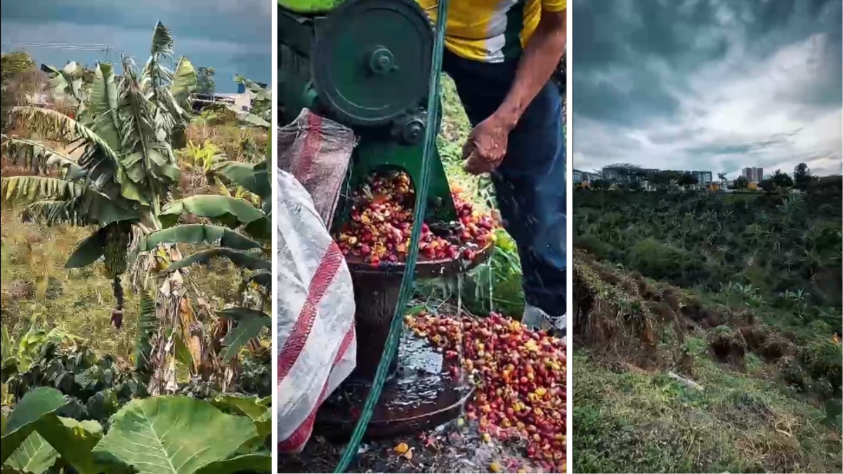 denuncia descarados invaden predios de proteccion ambiental los contaminan y encima groseros denuncia ambiental altavista web ee