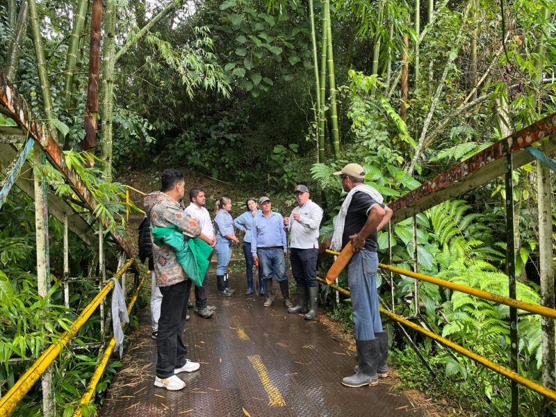 carder y sociedad de mejoras de pereira proyectan sendero tematico para recrear las areas protegidas de risaralda 27b53393 85dd 3af8 29f0 62decaf1081d