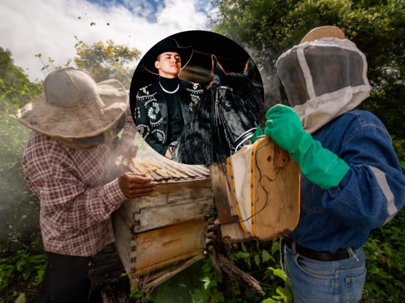 De la música al campo: el proyecto apícola que honra la visión de Yeison Jiménez