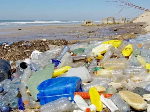 De paraíso a basurero: El patrimonio de la humanidad que ha sido completamente contaminada