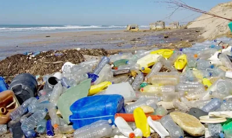 de paraiso a basurero el patrimonio de la humanidad que ha sido completamente contaminada isla henderson basurero mas grande mundo