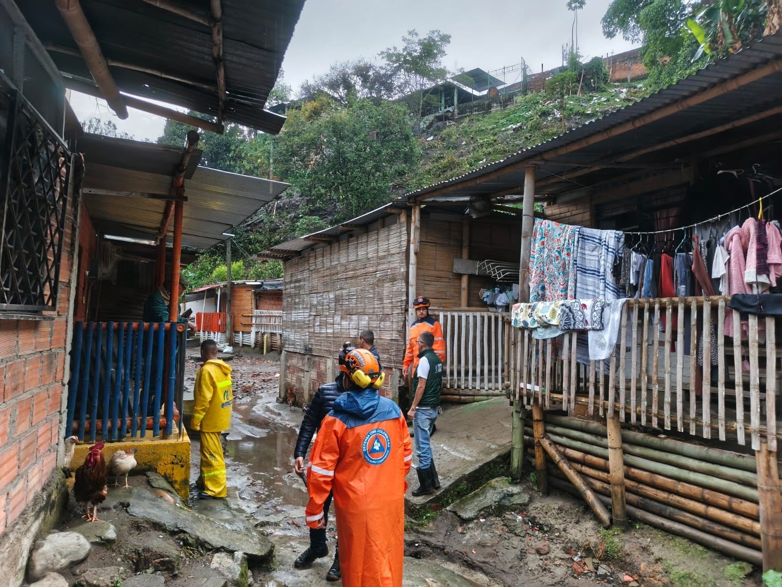 fuerte vendaval genero multiples emergencias en el quindio image
