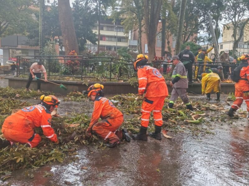 Fuerte vendaval generó múltiples emergencias en el Quindío