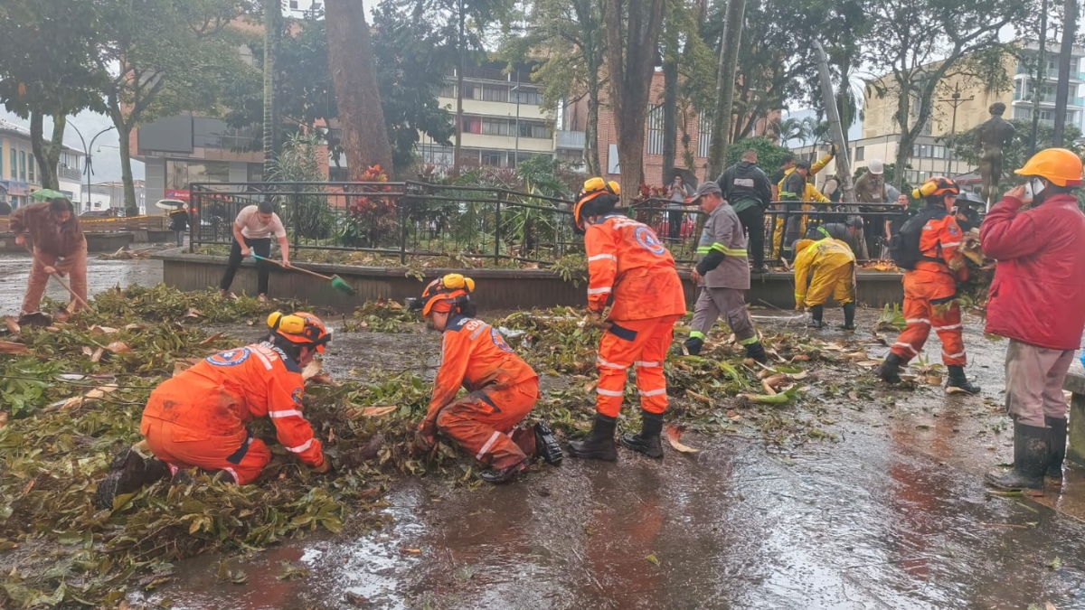 fuerte vendaval genero multiples emergencias en el quindio vendaval quindio web