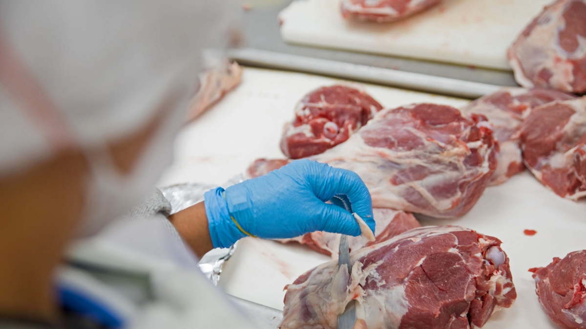gobierno evalua frenar exportacion de carne tras emergencia economica exportacioncarnecolombia web