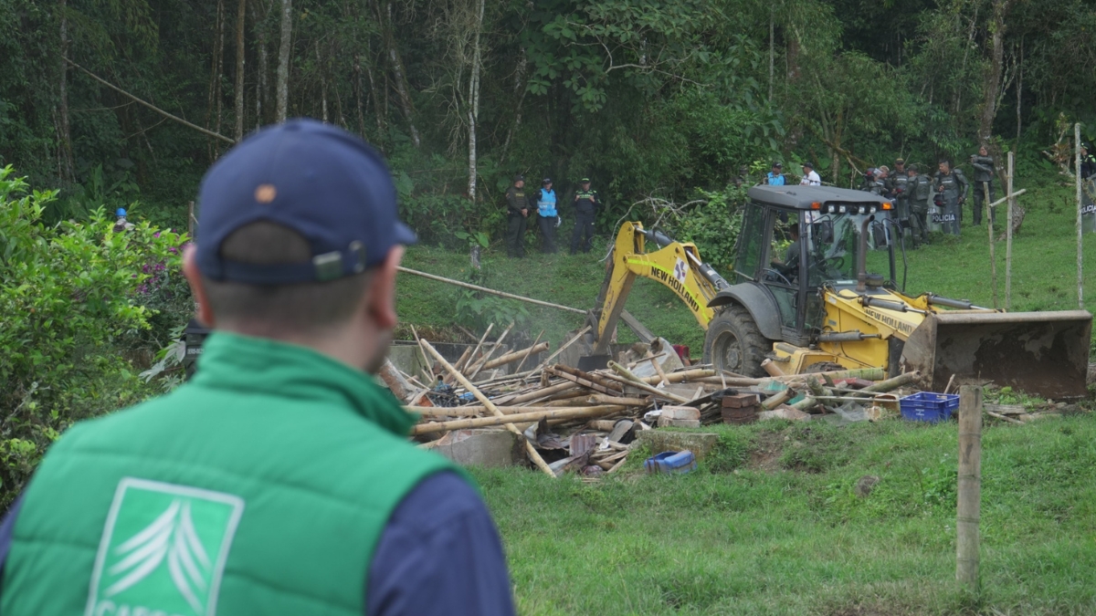 la alcaldia de quinchia y la carder recuperan predio invadido en area protegida de cerro gobia portadas clp web 73