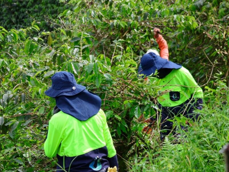 La CARDER acompañó al Control Físico de la Alcaldía de Pereira a recuperar el predio del municipio invadido por particulares