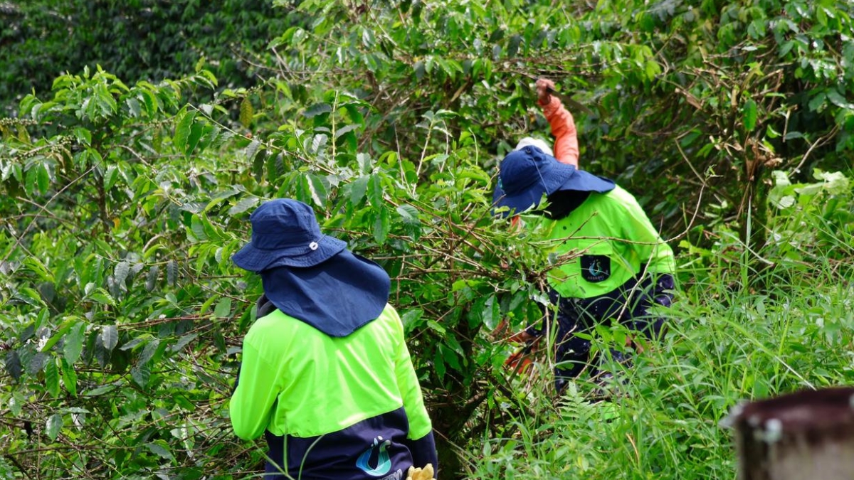 la carder acompano al control fisico de la alcaldia de pereira a recuperar el predio del municipio invadido por particulares portadas clp web 97
