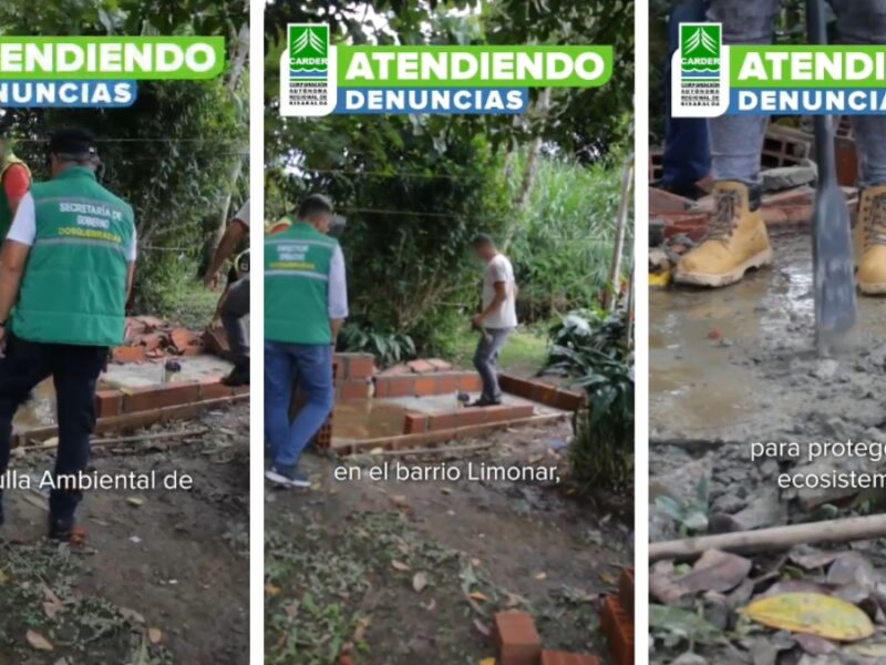 Lo denunciamos y la CARDER intervino en construcción que vertía aguas residuales a la quebrada Frailes