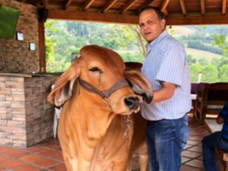 Juez ordena devolver millonarios bienes del ‘Ñeñe’ Hernández a su familia