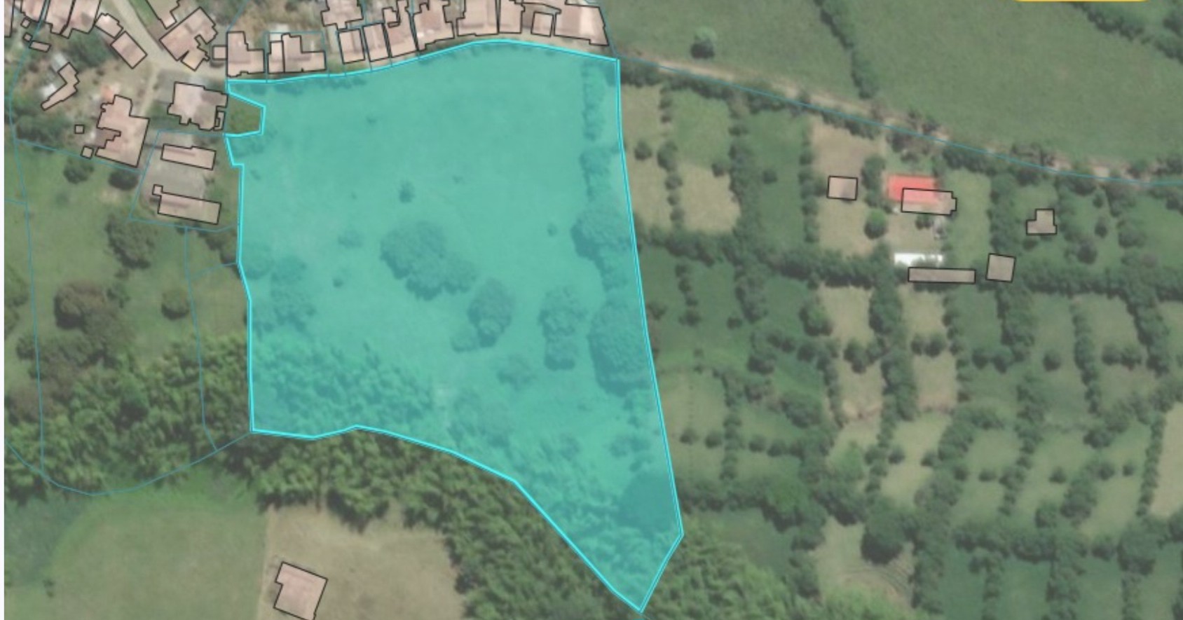 nos quieren intimidar para que no denunciemos invasiones ni construcciones ilegales imagen 12