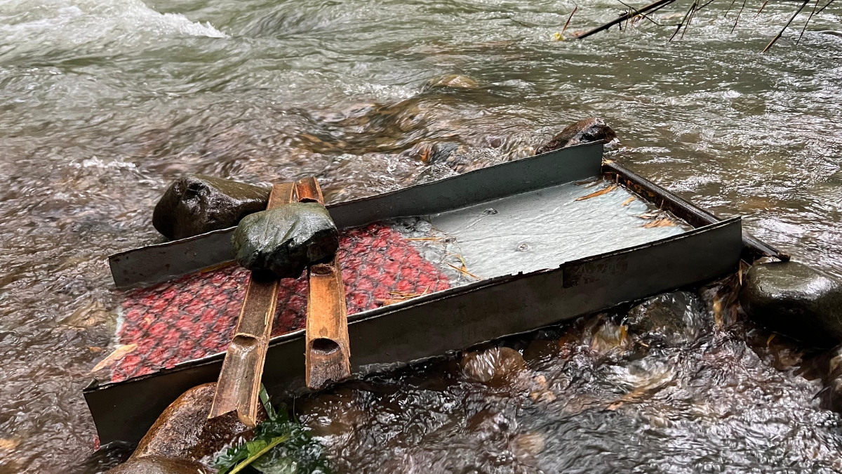 Operativo interinstitucional detecta minería ilegal en zona forestal protectora del río San Francisco, en Marsella 1 operativo interinstitucional detecta mineria ilegal en zona forestal protectora del rio san francisco en marsella portadas clp web 2026 02 14t095127.179