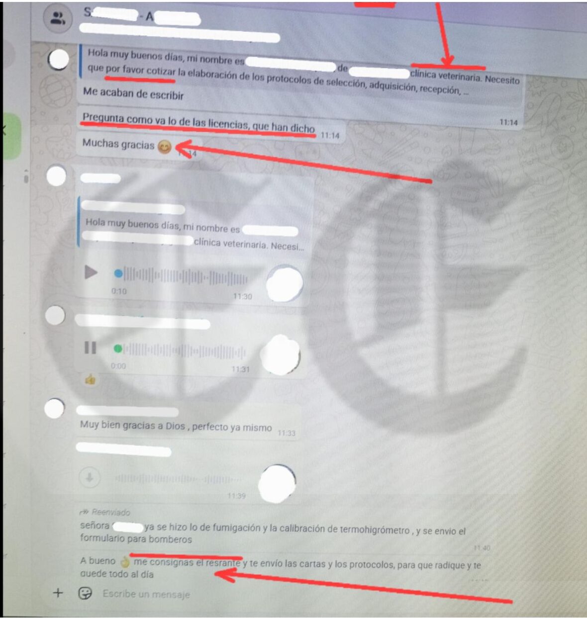 primicia tenemos chats audios y consignaciones de funcionarios y contratistas de la gobernacion denunciados en fiscalia 4 e1770072904107