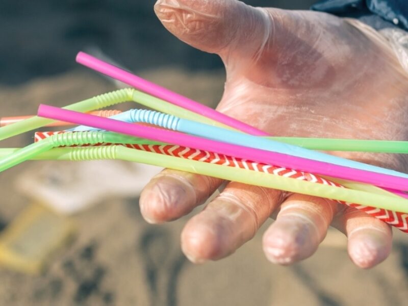 Un pequeño hábito, un gran daño: el llamado a decirle no al pitillo plástico