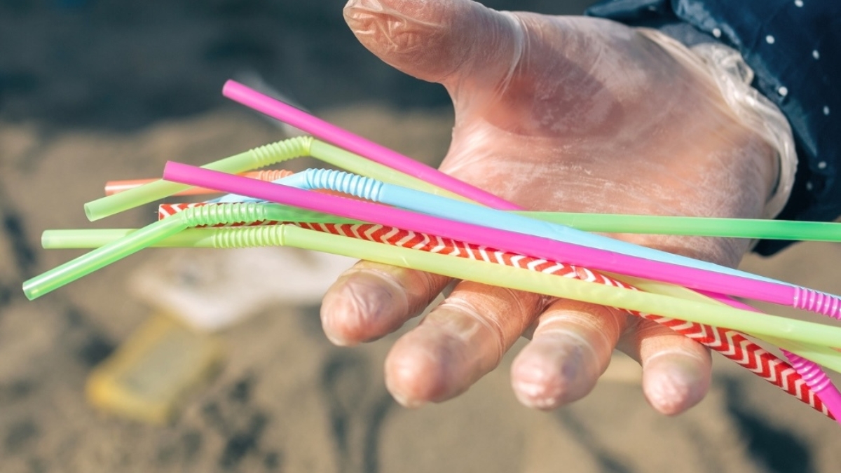 un pequeno habito un gran dano el llamado a decirle no al pitillo plastico portadas clp web 64