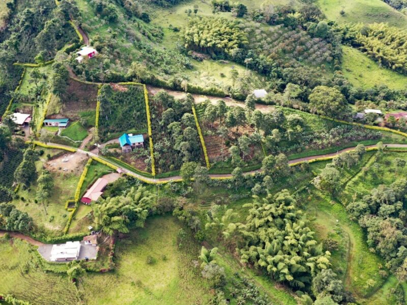 Alerta sobre fraccionamiento ilegal de suelo rural y áreas protegidas en Risaralda: CARDER