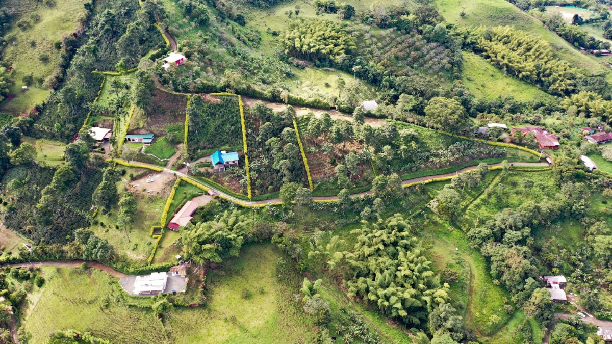 alerta sobre fraccionamiento ilegal de suelo rural y areas protegidas en risaralda portadas clp web 2026 03 09t132844.380