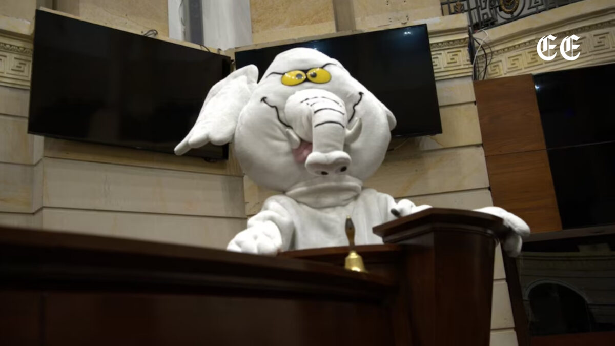 “Elefante Blanco” destapa cifras de campaña y fija postura sobre reposición de votos 1 borrador automatico el elefante blanco web