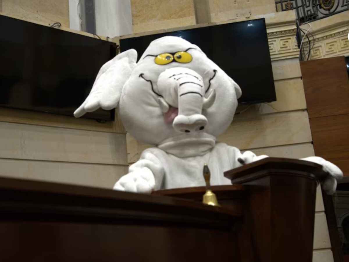 “Elefante Blanco” destapa cifras de campaña y fija postura sobre reposición de votos