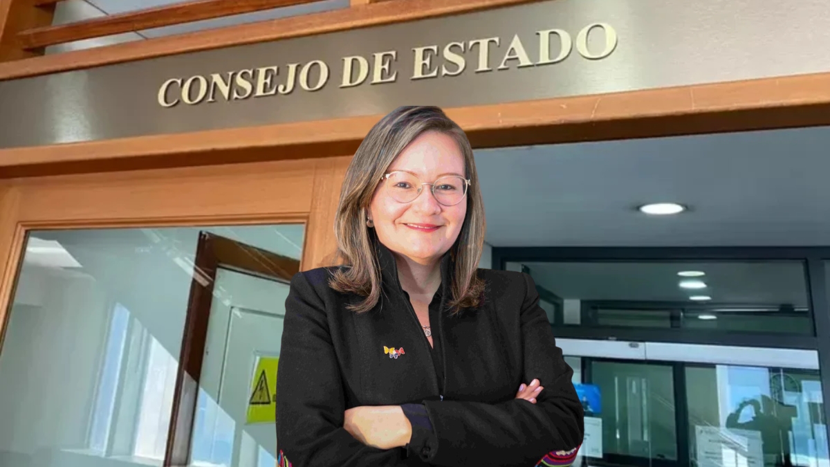 consejo de estado anula nombramiento de cielo rusinque en la sic cielo runsique consejo estado