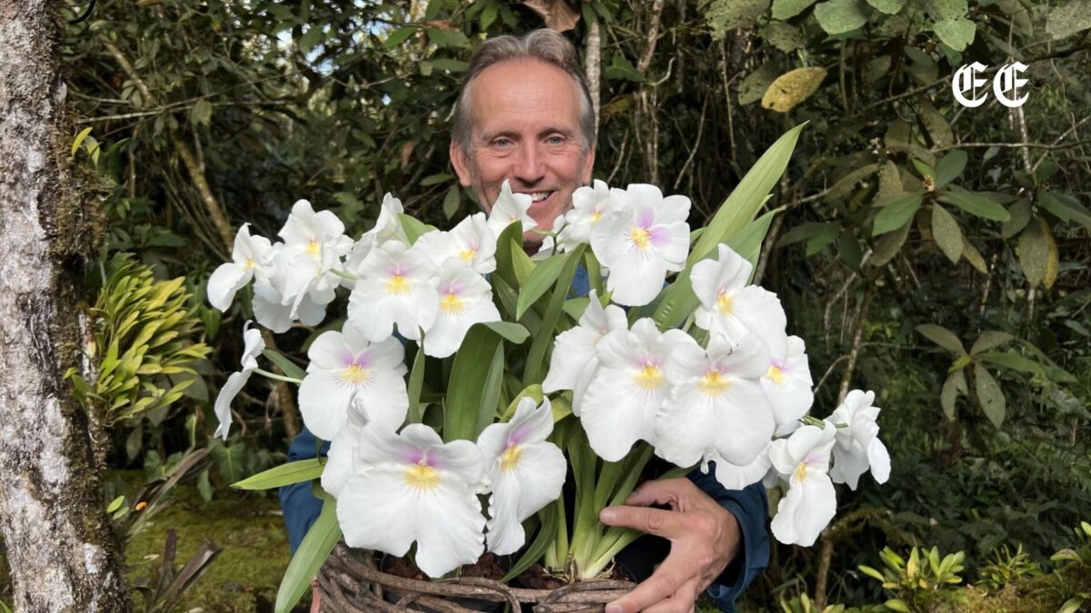 daniel piedrahita y su arca de noe vegetal que impacta la biodiversidad mundial pagina web 59