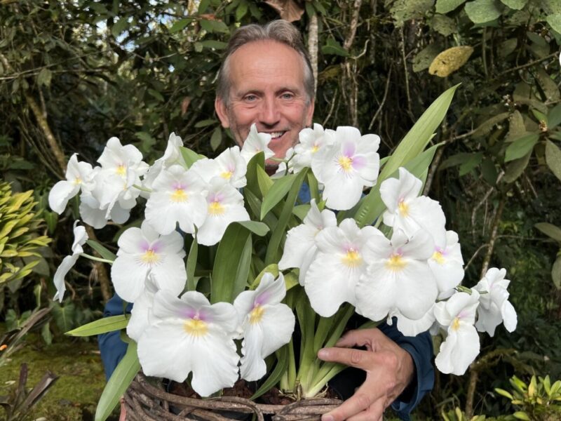 daniel piedrahita y su arca de noe vegetal que impacta la biodiversidad mundial pagina web 59