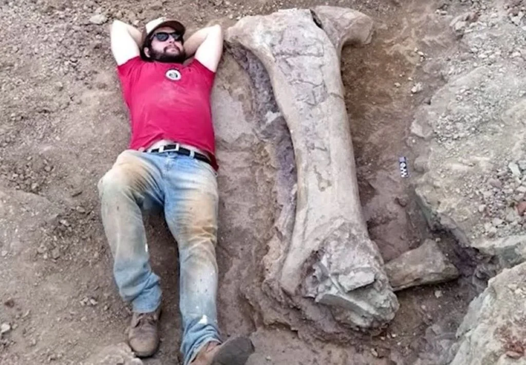 dasosaurus tocantinensis el hallazgo que cambia la historia de los dinosaurios image