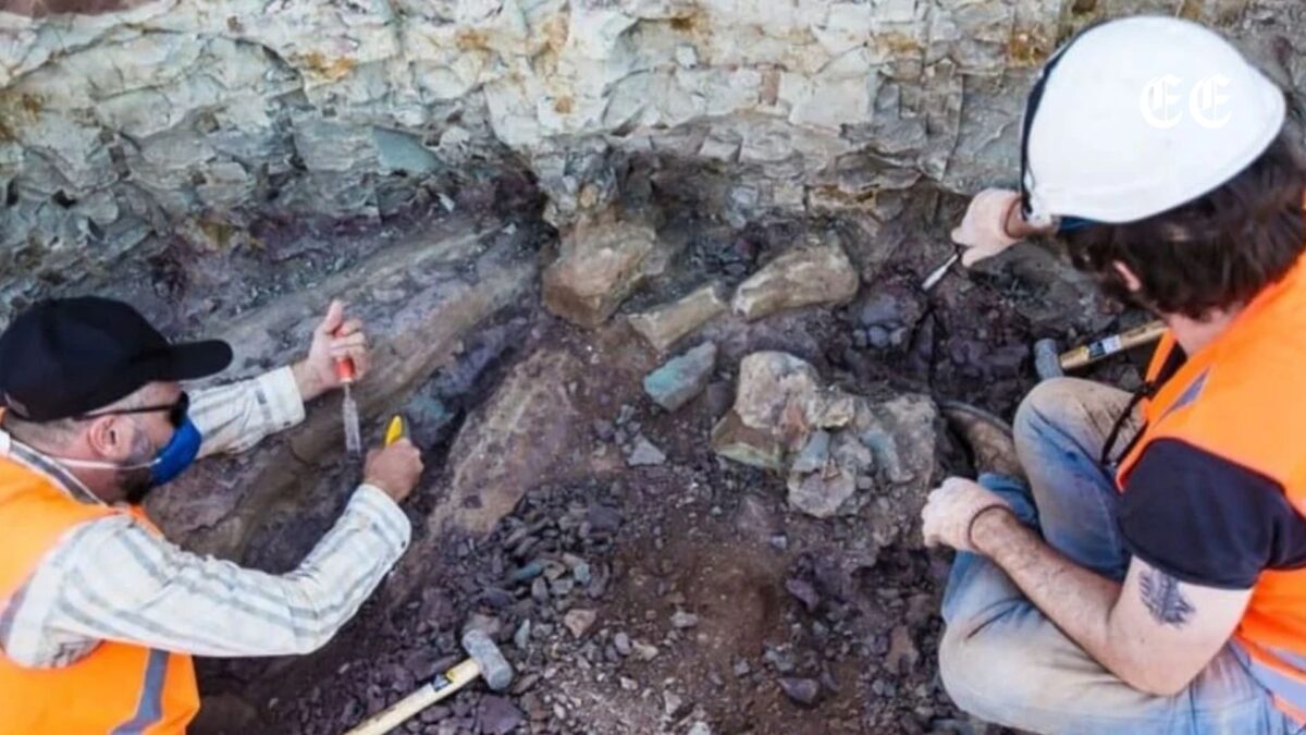 dasosaurus tocantinensis el hallazgo que cambia la historia de los dinosaurios pagina web 6